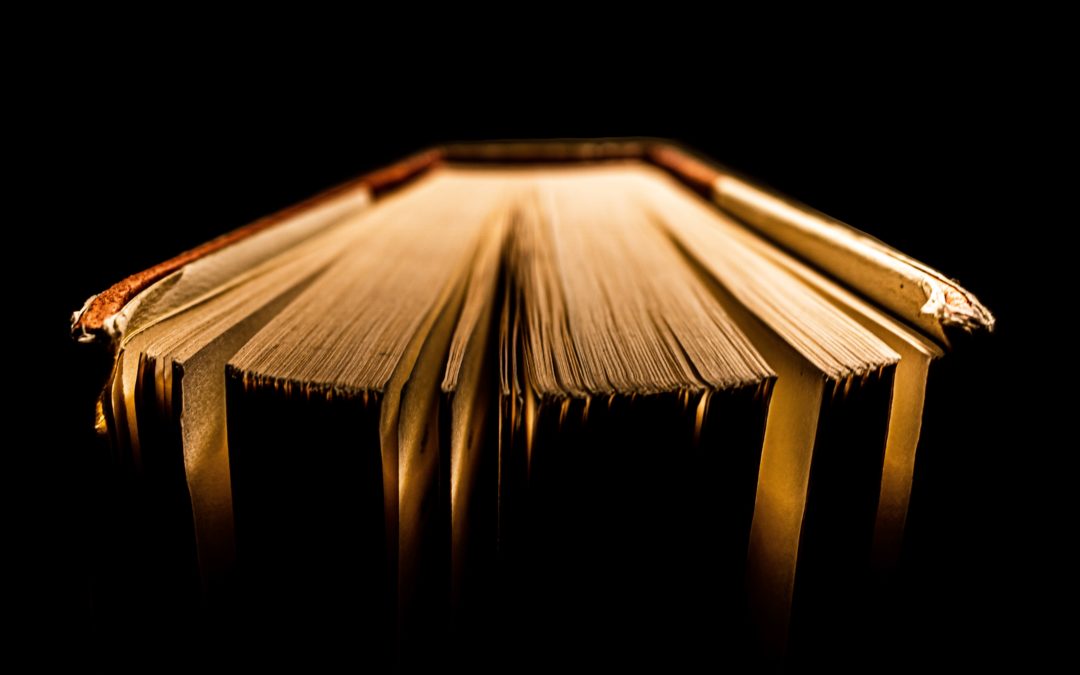 A book opening in the dark with pages facing forward